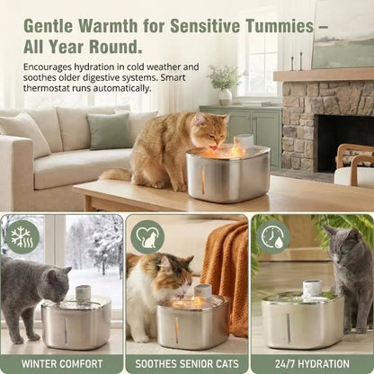 CORDLESS PET WATER FOUNTAIN – FRESH, SAFE WATER ANYTIME