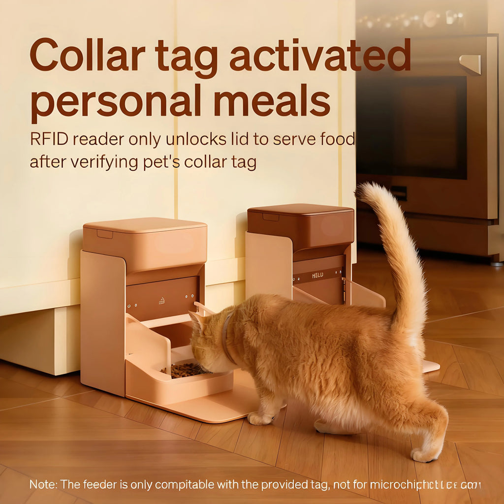 Personalized Feeding with Cat Recognition & Freshness Protection