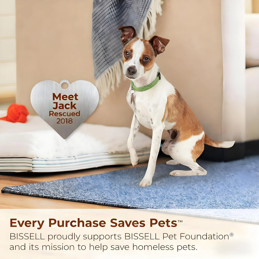 Powerful Suction with Self-Cleaning Tool - Stain Remover for Pet Families