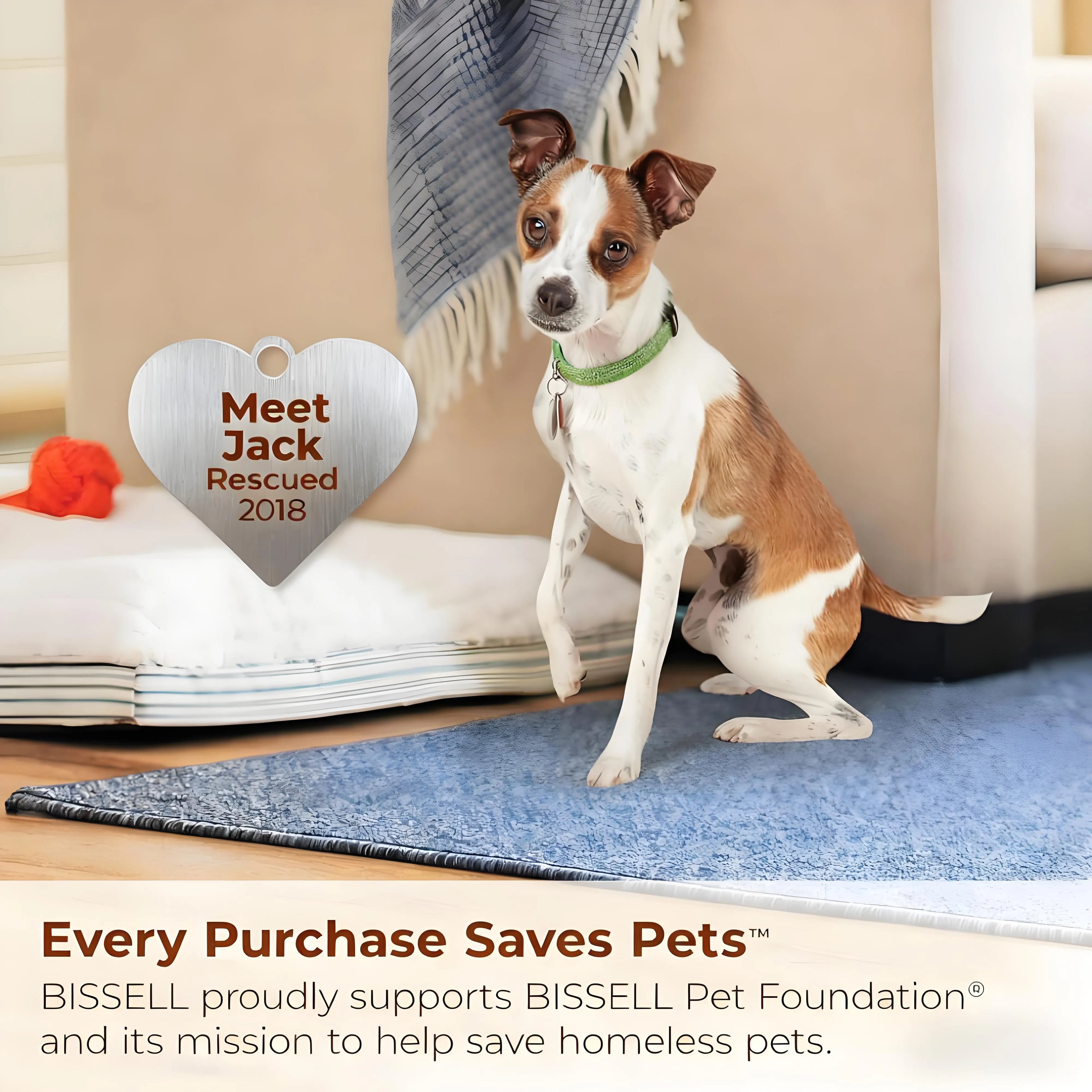 Powerful Suction with Self-Cleaning Tool - Stain Remover for Pet Families